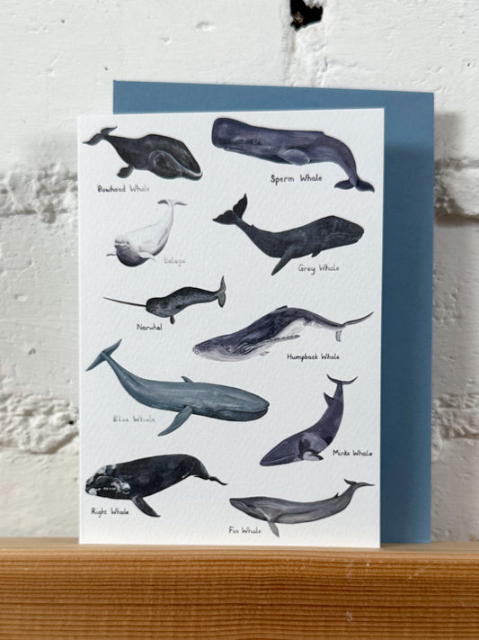 Whales Illustration Card