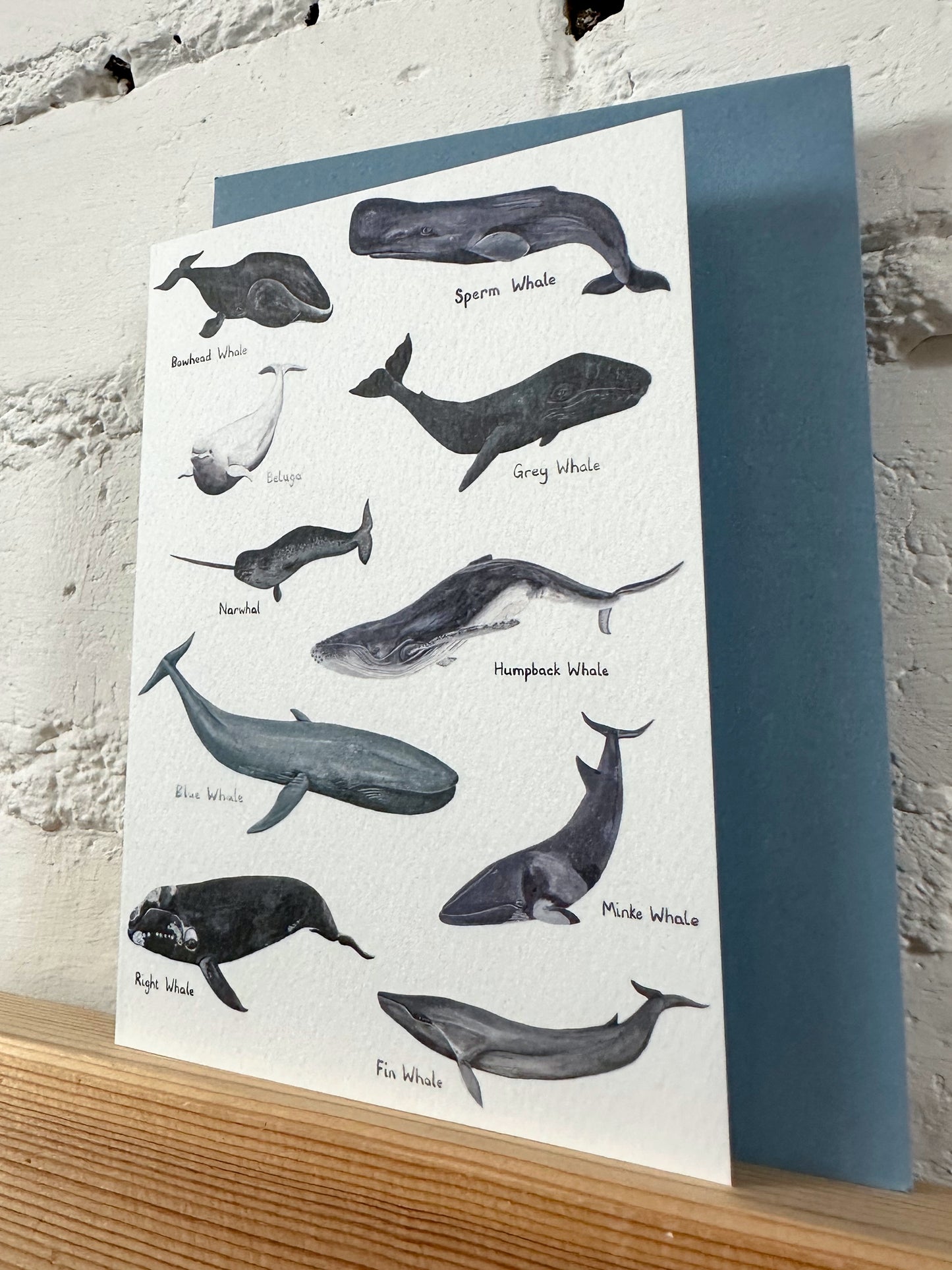 Whales Illustration Card