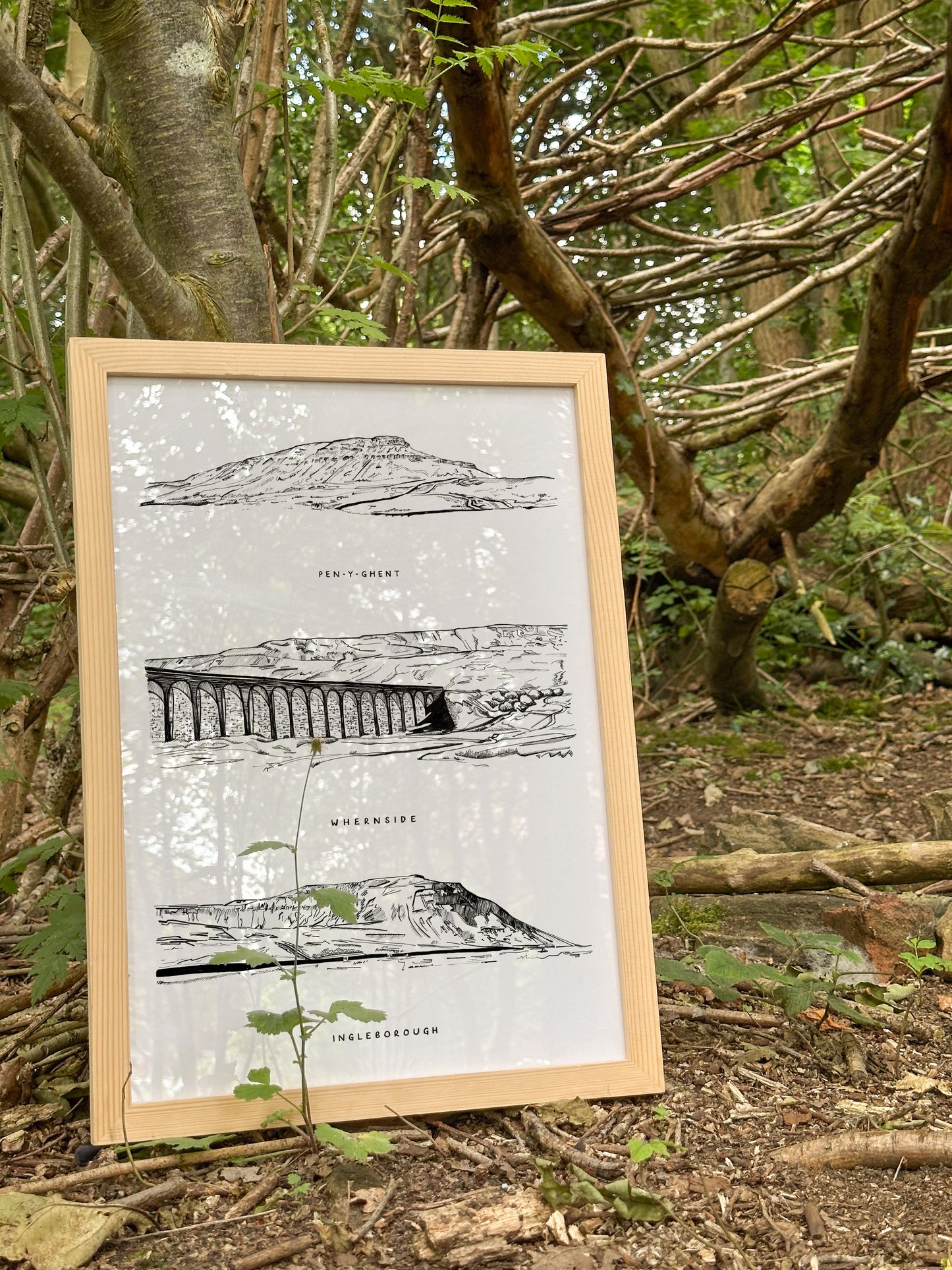 Yorkshire Three Peaks Illustration Print