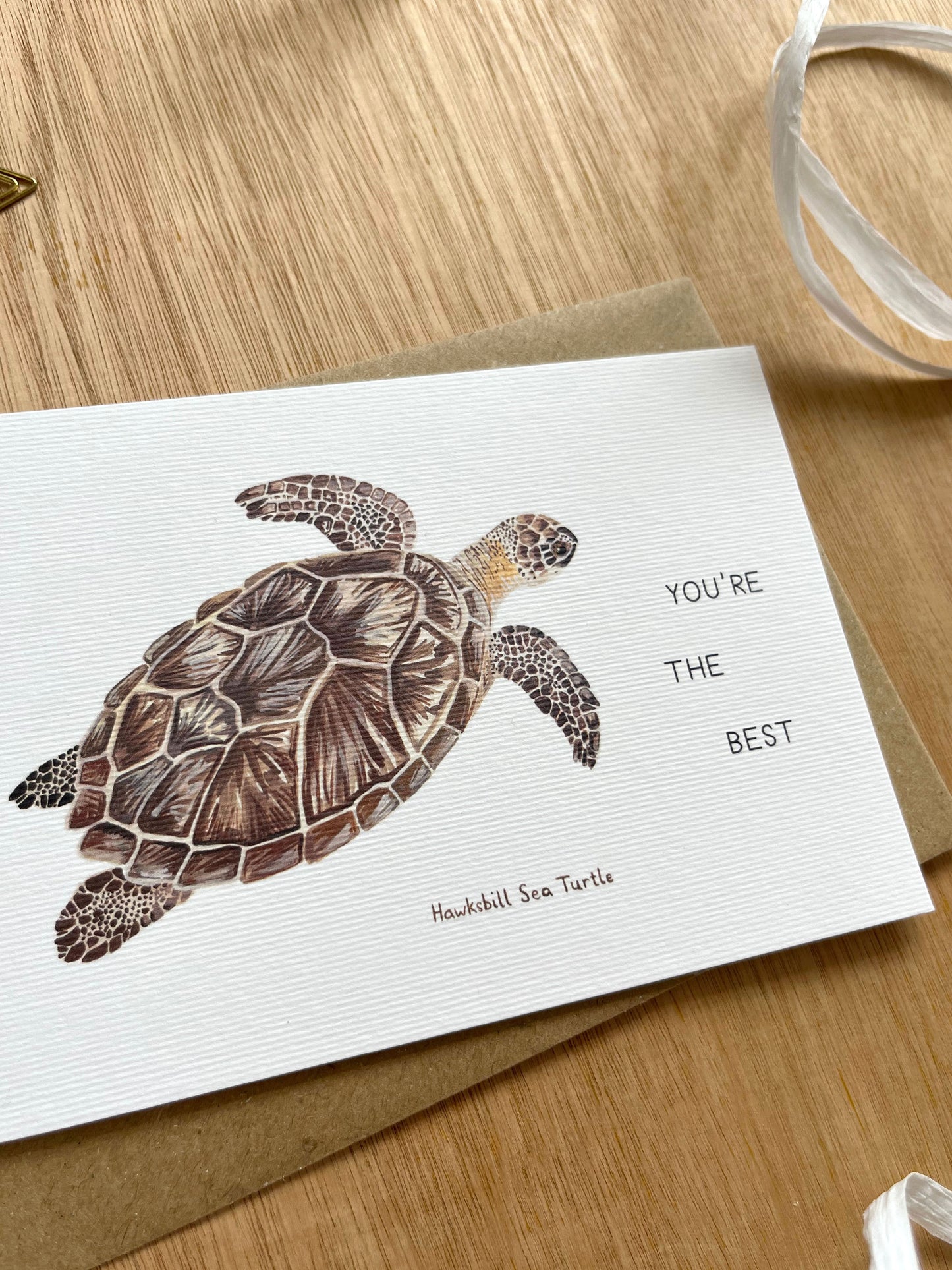 You're the Best Turtle Card