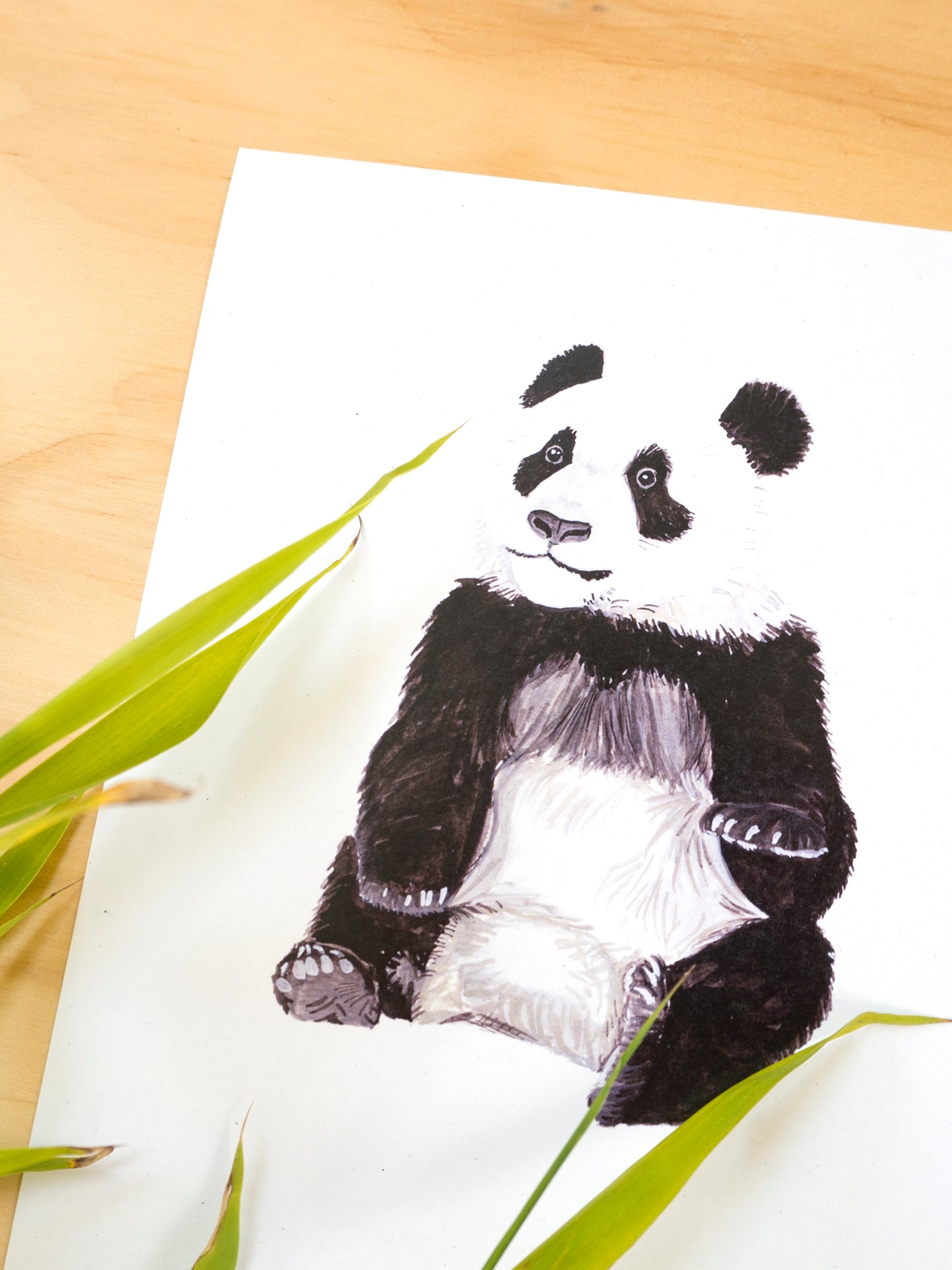 Young Giant Panda Print