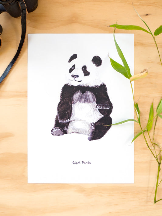 Young Giant Panda Print