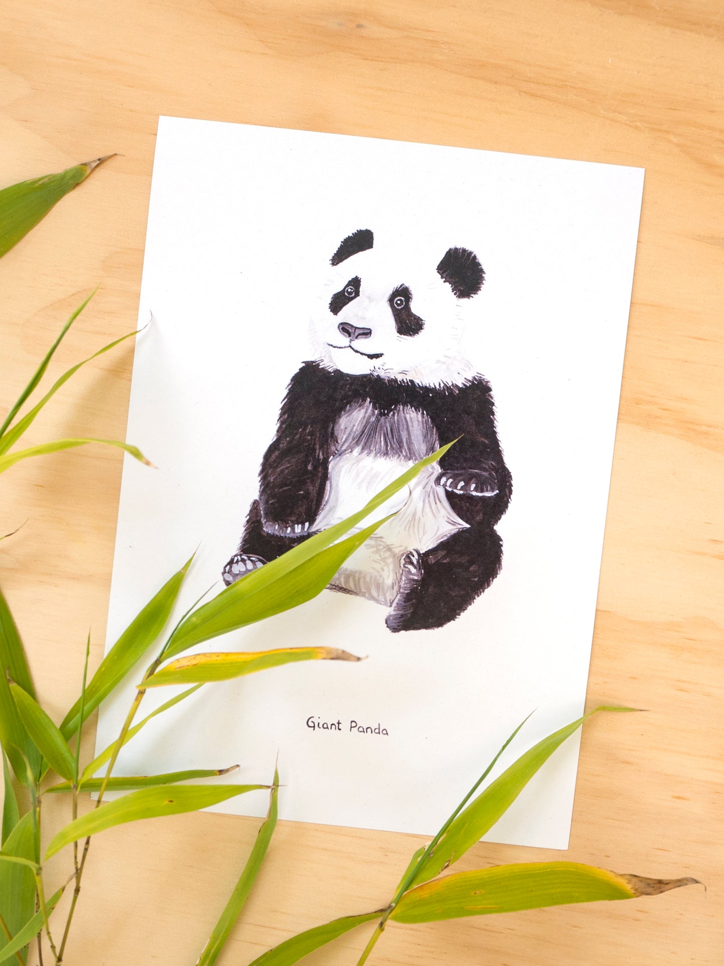 Young Giant Panda Print