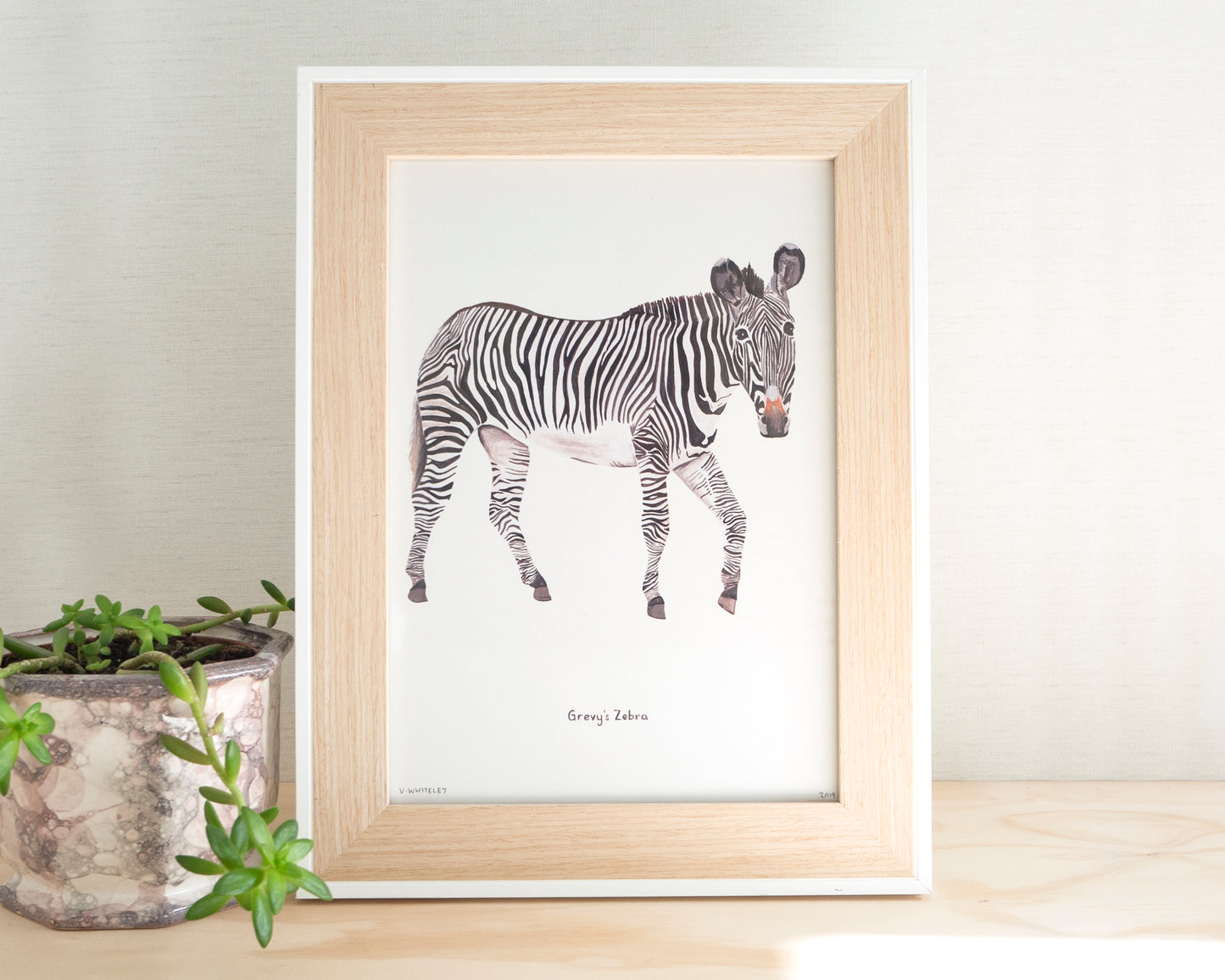 Grevy's Zebra Print A4