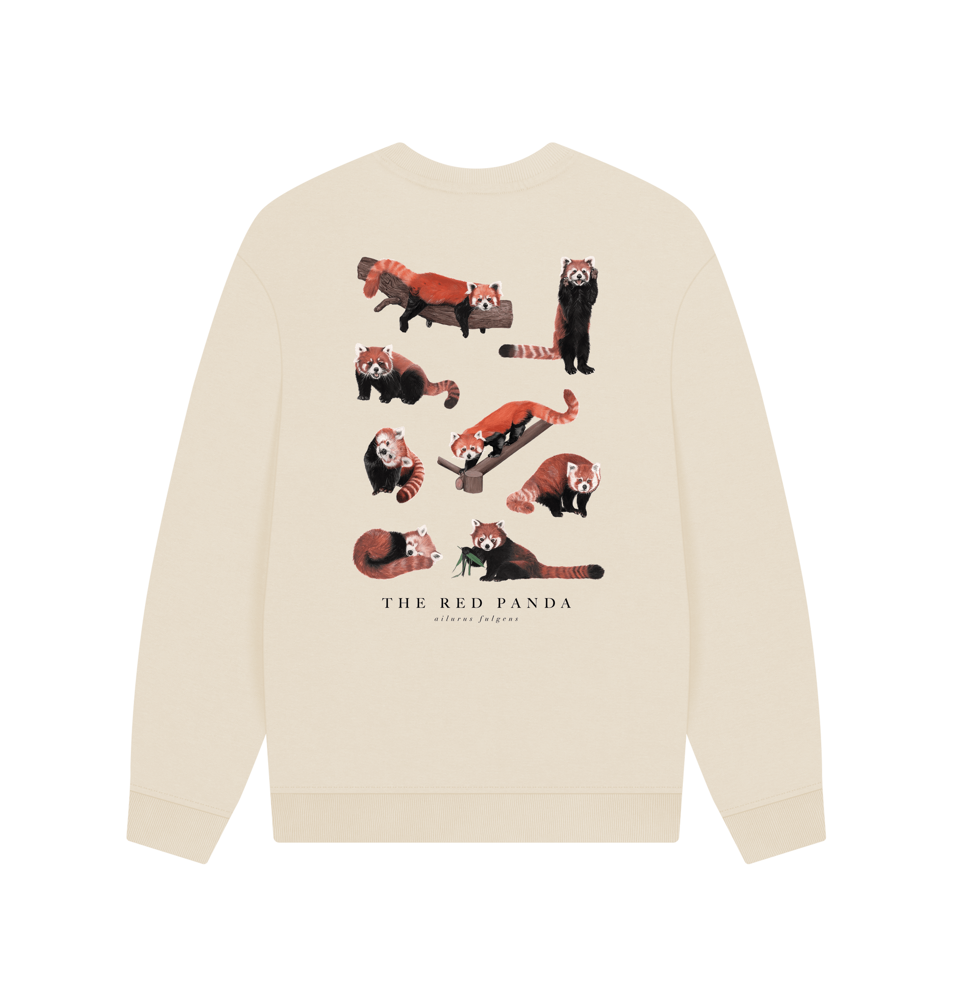 Oat Printed Sweater Back