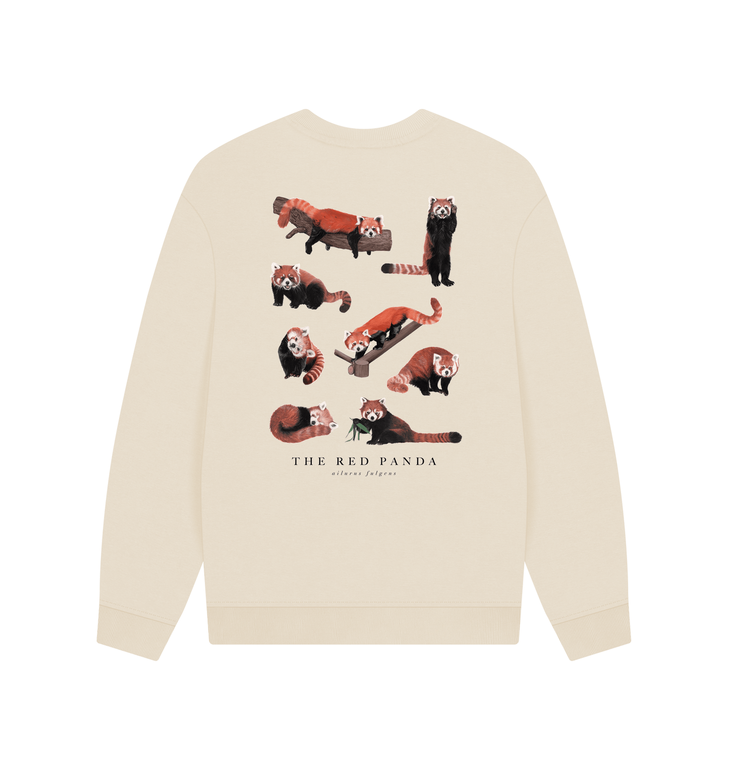 Oat Printed Sweater Back